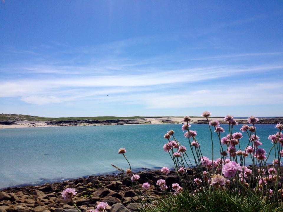 Dolphin Beach House Hotell Clifden Eksteriør bilde