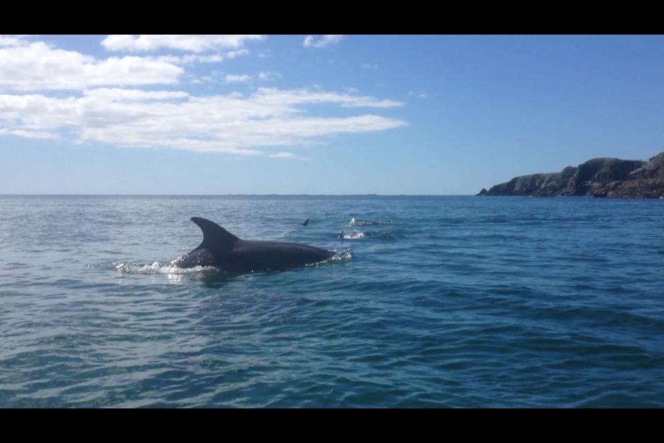 Dolphin Beach House Hotell Clifden Eksteriør bilde