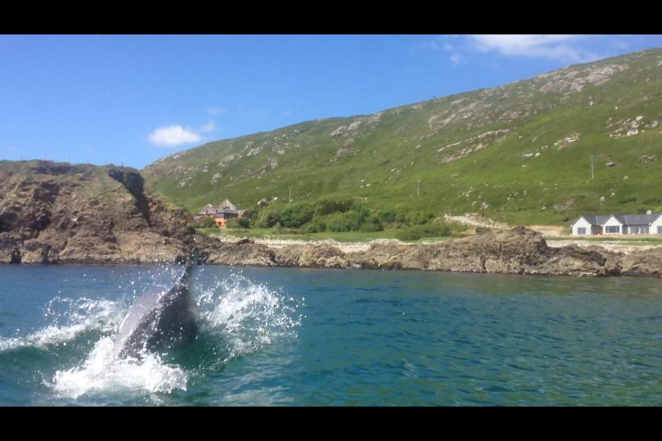 Dolphin Beach House Hotell Clifden Eksteriør bilde