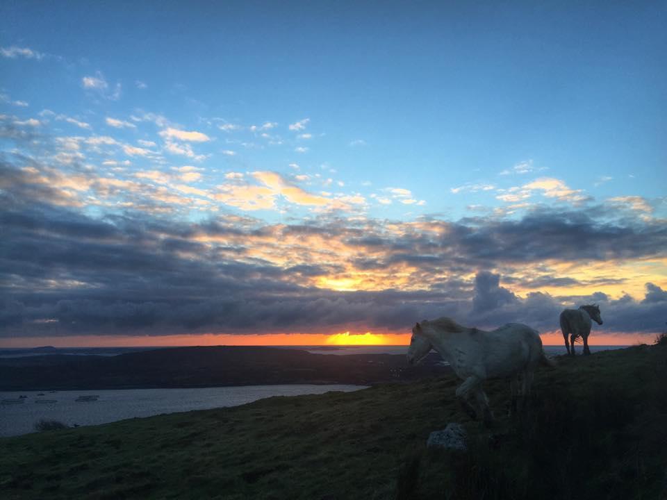Dolphin Beach House Hotell Clifden Eksteriør bilde